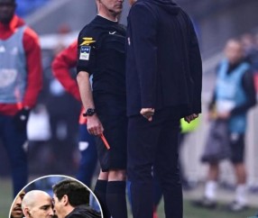 极速电竞比分网-丰塞卡和裁判顶牛禁赛9个月！里昂：尽一切办法上诉